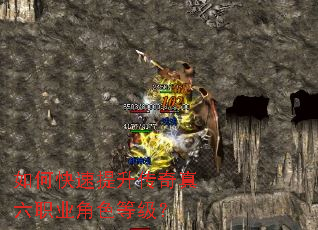 ��ο���������������ְҵ��ɫ�ȼ���