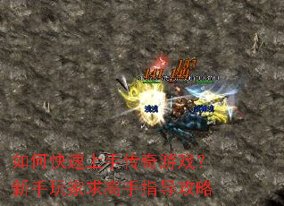 ��ο������ִ�����Ϸ��������������ָ������