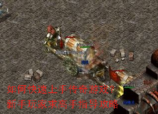 ��ο������ִ�����Ϸ��������������ָ������