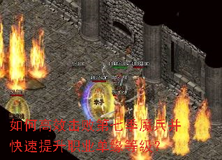 ��θ�Ч���ܵ��߼�ħ������������ְҵ��Ե�ȼ���