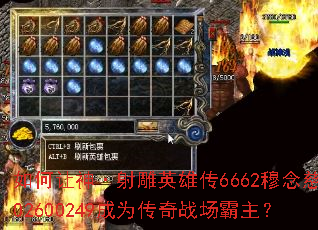 ����������Ӣ�۴�6662�����302600249��Ϊ����ս��������