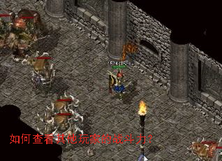 ��β鿴������ҵ�ս������