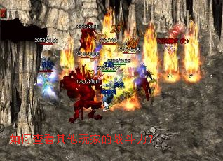 ��β鿴������ҵ�ս������